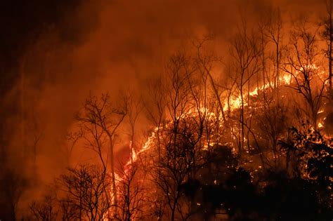 蛇山火事|【森林火災と気候変動】山火事はなぜ起きる？気候変。